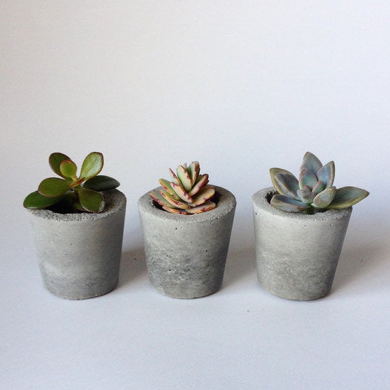 Mini Concrete Planters, Set of 10, Not Painted