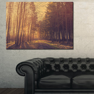 "Pine Tree Forest by Road" Landscape Canvas Photo Print, 40"x20"