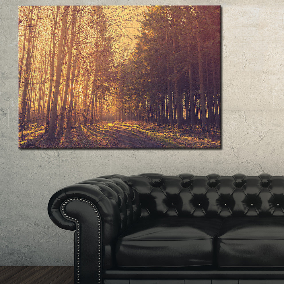 "Pine Tree Forest by Road" Landscape Canvas Photo Print, 40"x20"