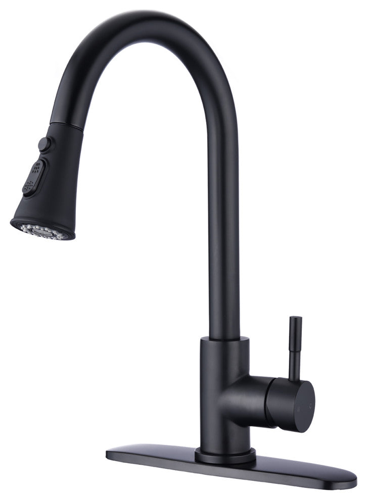 Single Handle Deck Mounted High Arc Pull Down Kitchen Faucet with Sprayer, Matte