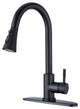 Single Handle Deck Mounted High Arc Pull Down Kitchen Faucet with Sprayer, Matte