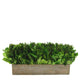 Wooden Container Brown Stain, Salal