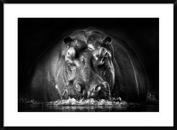 "Power" Framed Digital Print by Gorazd Golob, 38"x28"