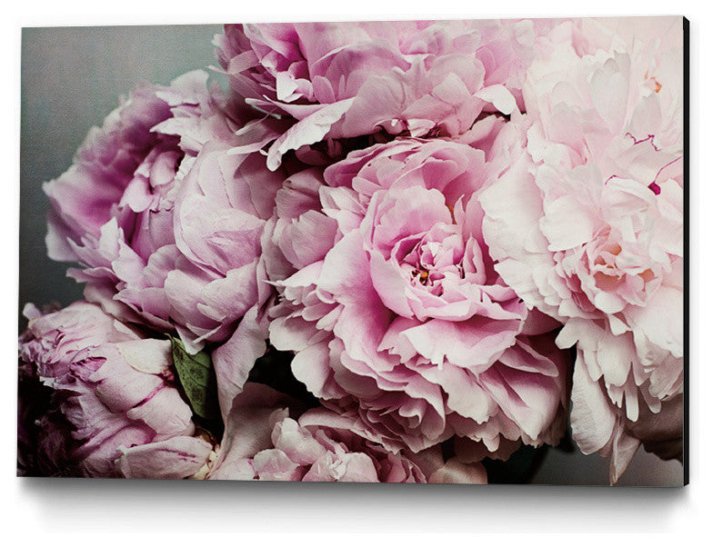 "Peonies Galore Ii" Museum Mounted Canvas Print, 24"x18"