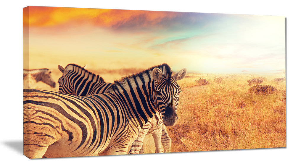 Zebras Herd in Field At Sunset, Extra Large African Canvas Art Print, 32"x16"
