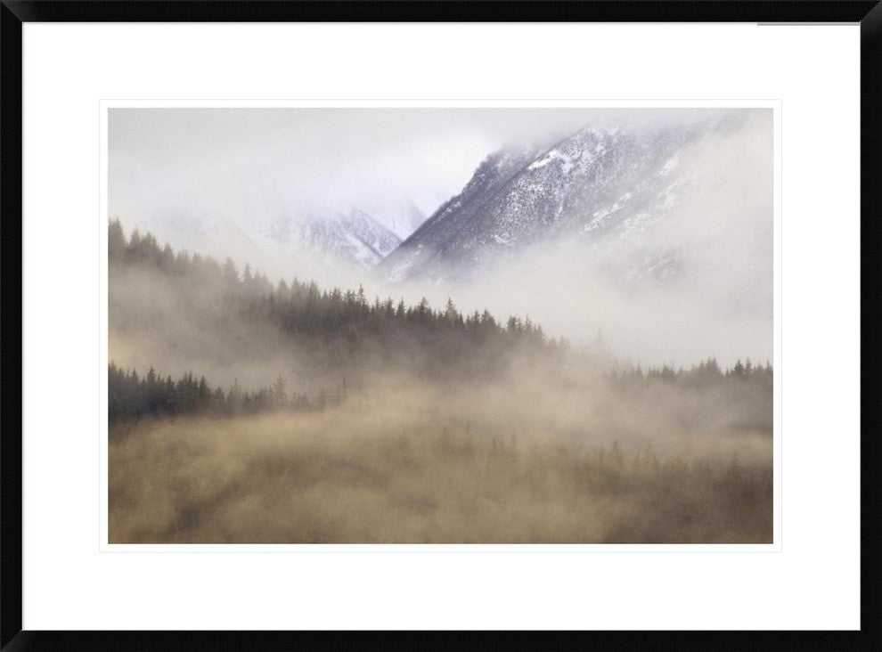 Fog In Old Growth Forest, Chilkat River Wilderness, Alaska, 30"x22"