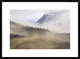 Fog In Old Growth Forest, Chilkat River Wilderness, Alaska, 30"x22"