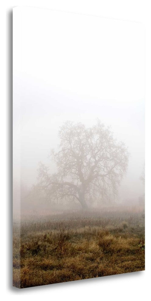 "Oak Tree - 29" By Alan Blaustein, Giclee Print on Gallery Wrap Canvas