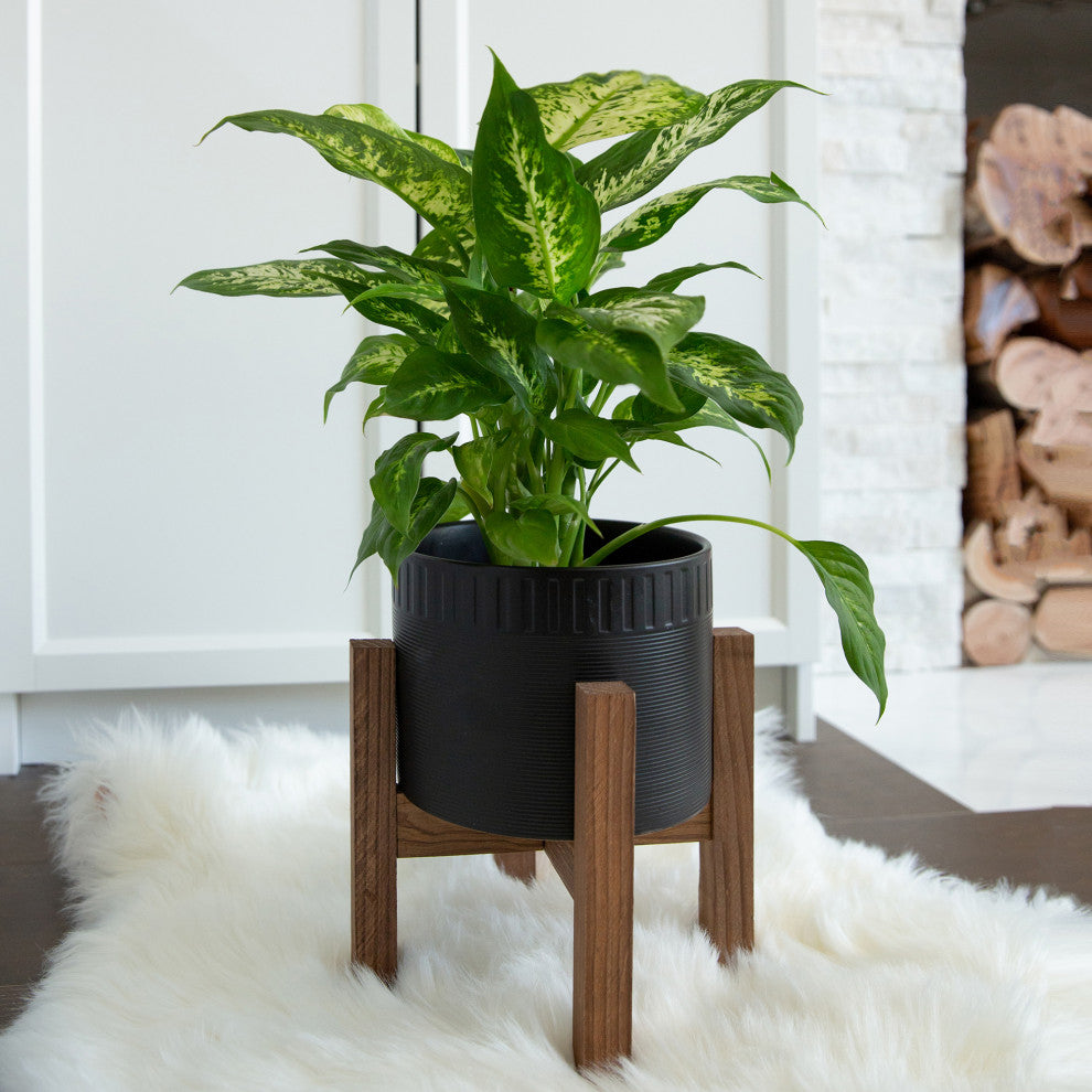 8" Ceramic Dumpling Pot On Wood Stand, Matte Black