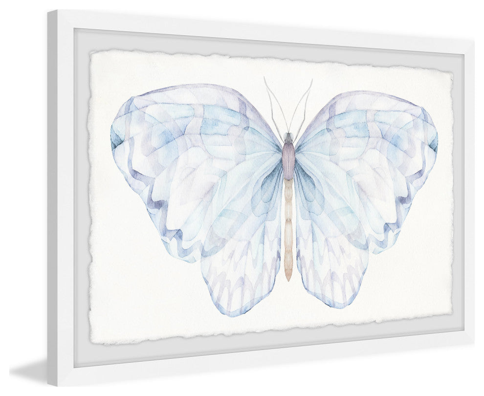 "I Love Butterflies" Framed Painting Print, 12x8