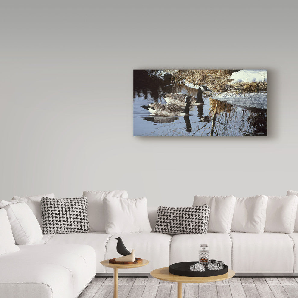 Ron Parker 'Spring Arrivals Canada Geese' Canvas Art, 24"x12"