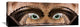 "Watching You" Stretched Canvas Giclee by Paco Palazon, 36x13"