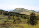 Albert Bierstadt Landscape: Hill and Dale, 18"x27" Wall Decal