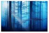 'Light Box Blues' Canvas Art by Philippe Sainte-Laudy