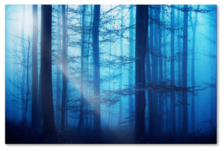 'Light Box Blues' Canvas Art by Philippe Sainte-Laudy