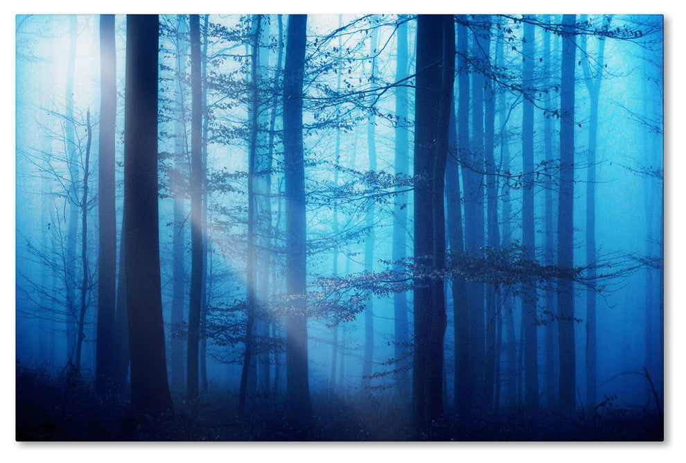'Light Box Blues' Canvas Art by Philippe Sainte-Laudy