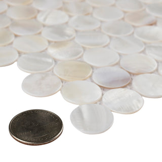 Conchella Mini Penny White Natural Shell Wall Tile