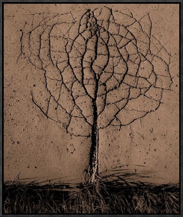 "Asphalt Tree" Framed Canvas Giclee by Rasto Gallo, 19x23"