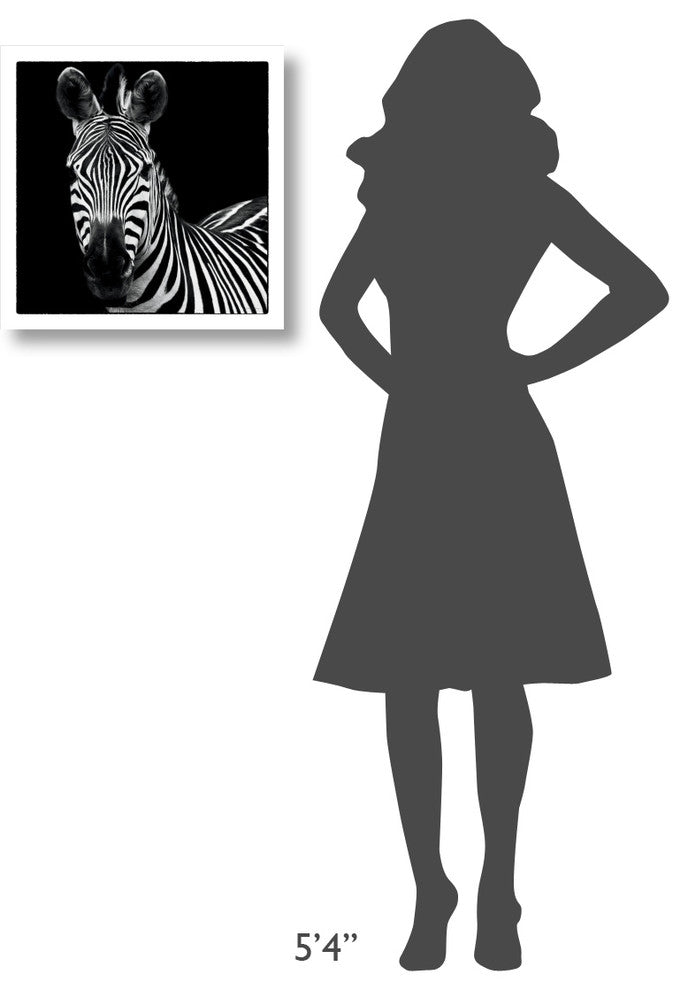 "Zebra II Square" Digital Paper Print by Debra Van Swearingen, 20"x20"