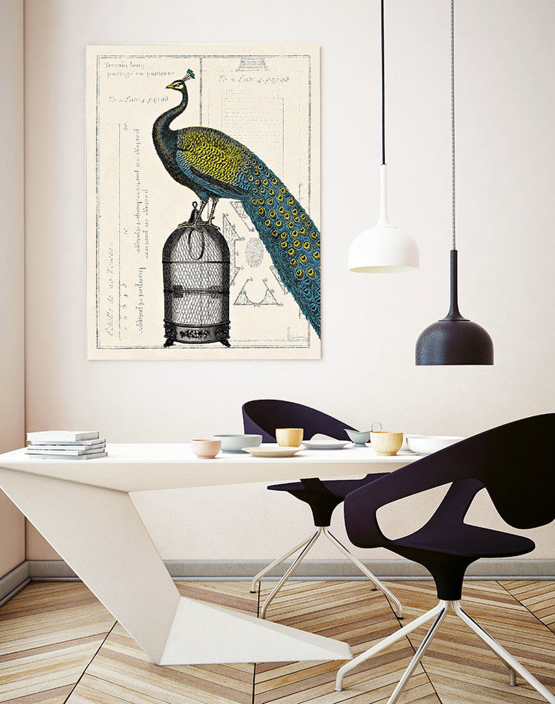 "Peacock Birdcage II" Museum Mounted Canvas Print, 24"x32"