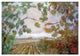 "Amongst the Vineyards" Digital Paper Print by Eduardo Audivert, 24"x17"