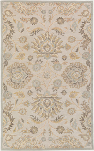 Caesar Traditional Light Gray, Khaki Area Rug, 2'x3'