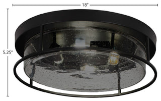 18" 4-Light Flush Mount Light, Matte Black/Clear Bubble