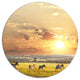 Zebras Wandering In African Prairie, Landscape Disc Metal Wall Art, 23"