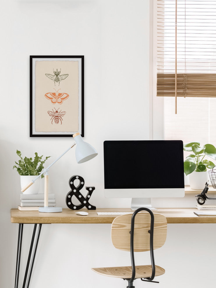 "Assorted Moths" Framed Painting Print, 30x45