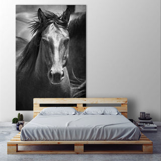"Black Stallion III" Fine Art Giant Canvas Print, 48"x72"