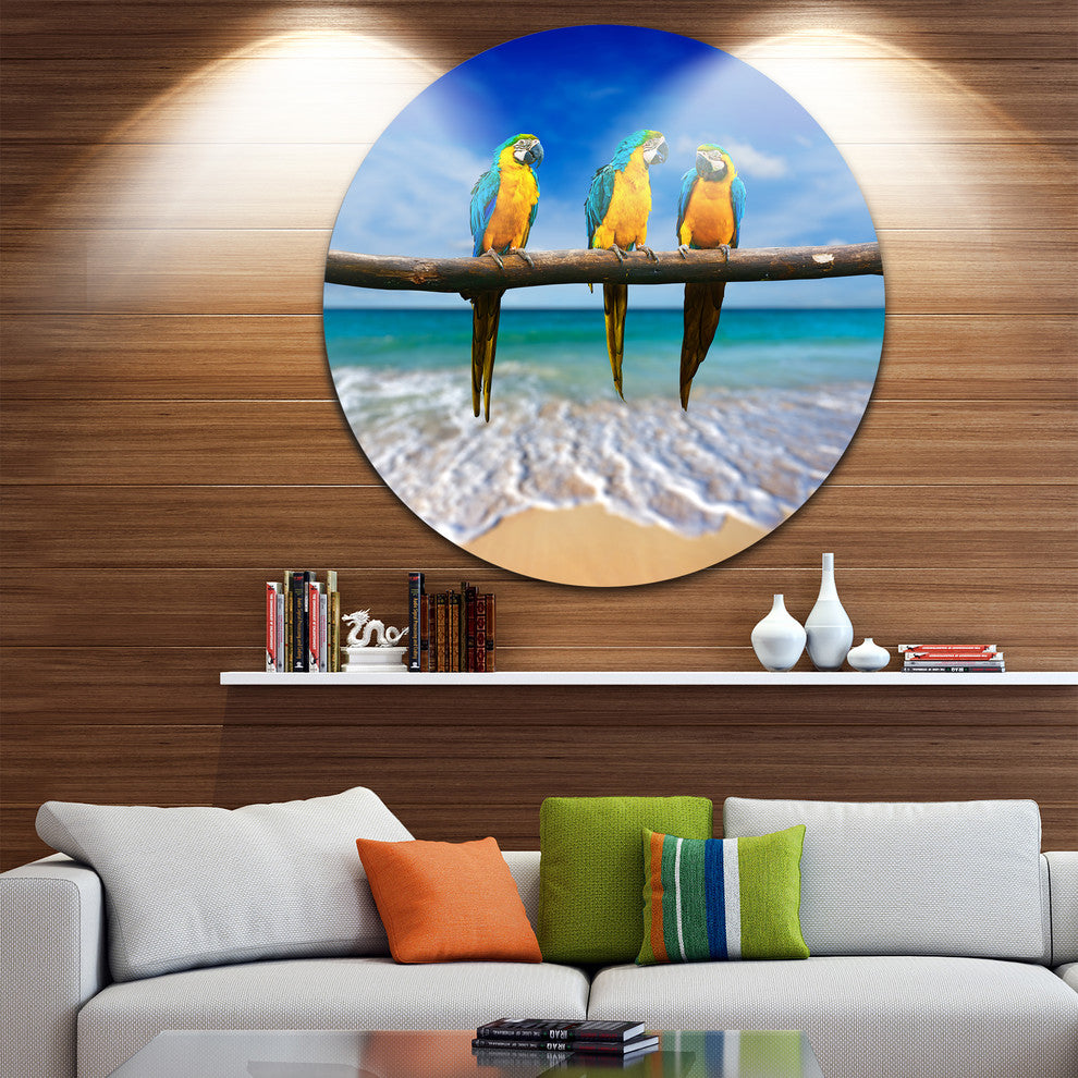 Blue Gold Macaws At Beach, Seashore Photo Disc Metal Artwork, 23"