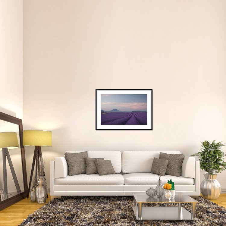 "Lavender Field" Framed Digital Print by Rostovskiy Anton, 44x32"
