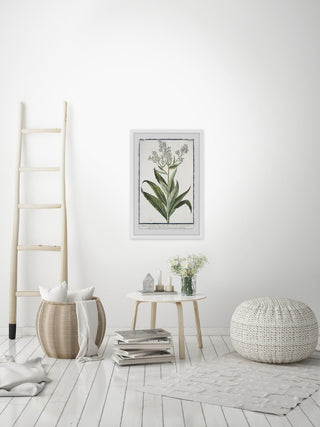 "Sweet Rocket Matronalis" Framed Painting Print, 24"x36"