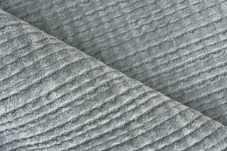 Cabrini Modern Handloomed Silky Nylon Light Silver Area Rug, 2'x3'