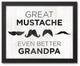 Great Mustache Grandpa 14x11 Black Framed Canvas