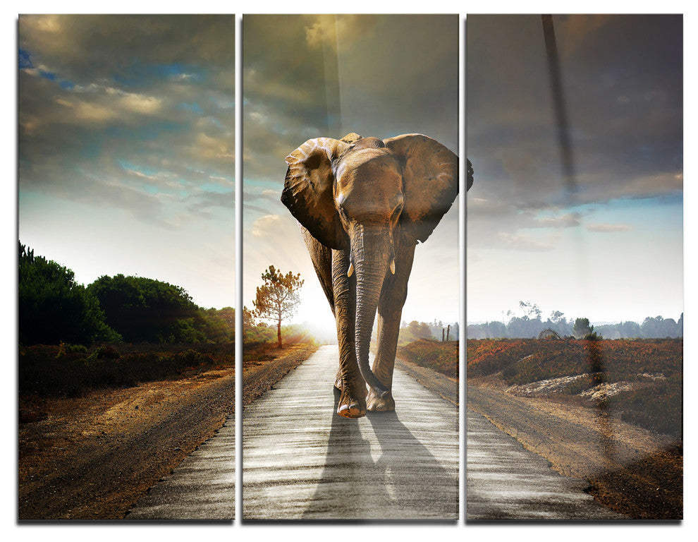"Single Walking Elephant" Photography Metal Wall Art, 3 Panels, 36"x28"