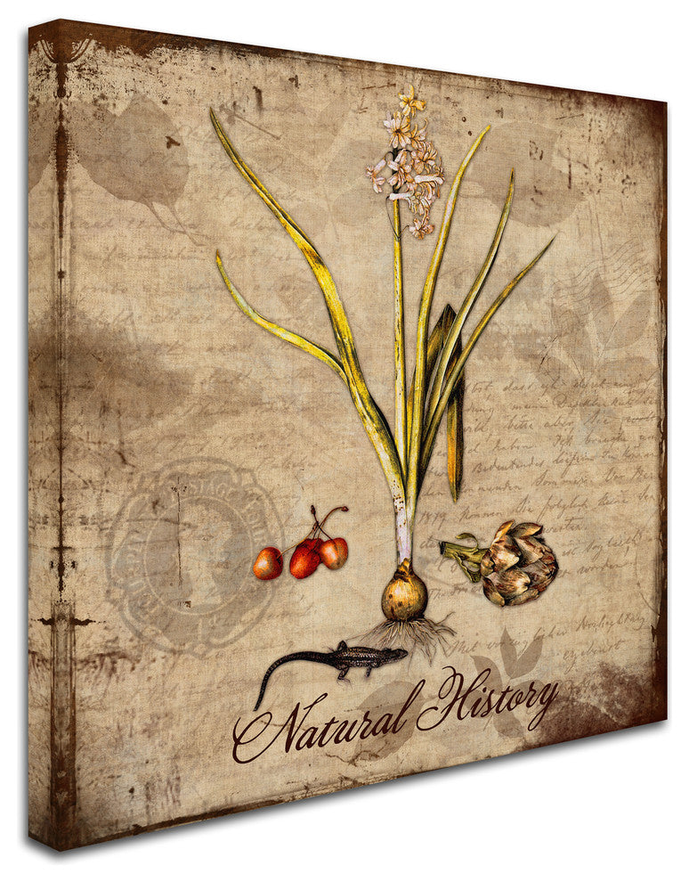 Tina Lavoie 'Natural History' Canvas Art, 18" x 18"