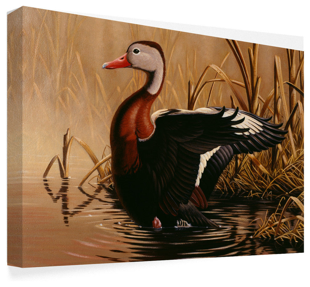 Wilhelm Goebel '1988 Black Bellied Duck' Canvas Art, 19"x12"