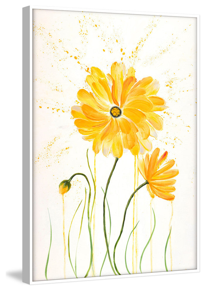 "Flower Shower II" by Julie Joy Floater Framed Print Canvas, 24x36