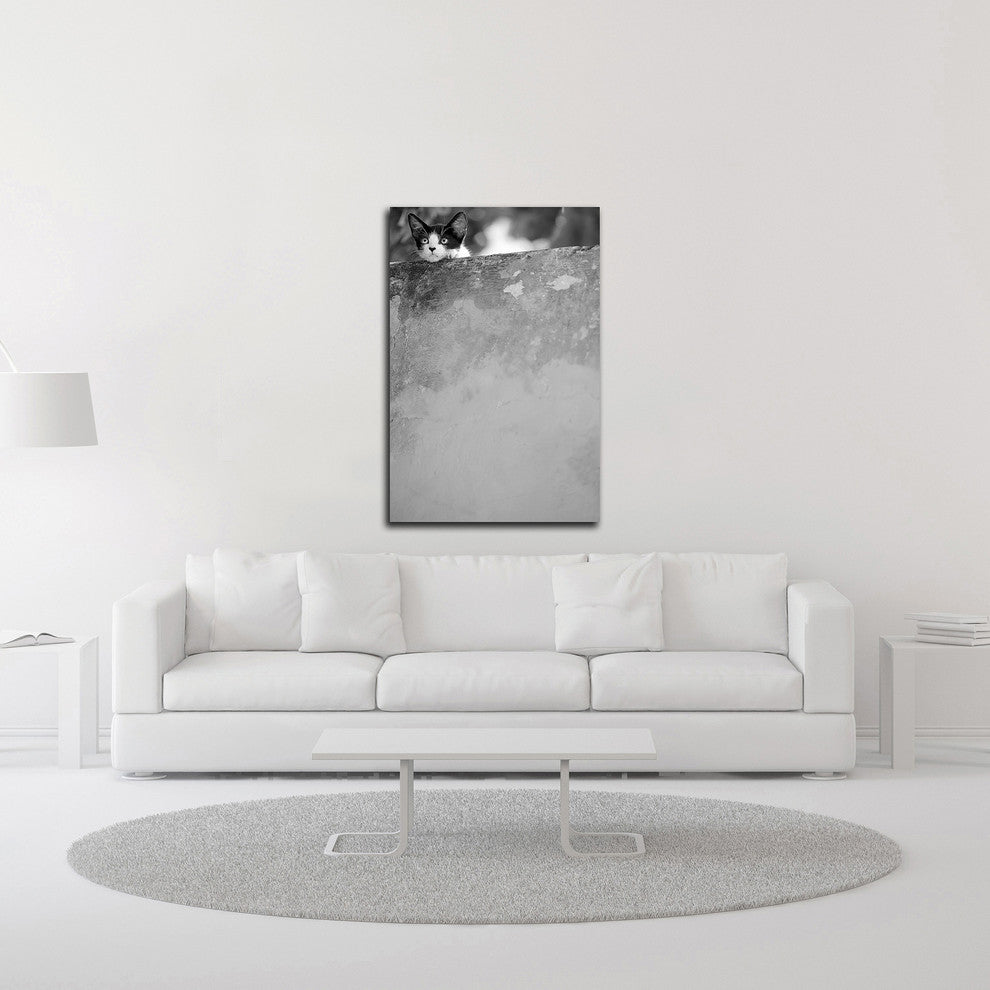 Dreamin"™ by Jon Bertelli, Print on Canvas, 24"x36"