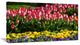 Red Tulips with Yellow Purple Flowers, Large Flower Canvas Art Print, 32"x16"
