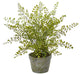13" Maiden Hair Artificial Plant in Decorative Planter