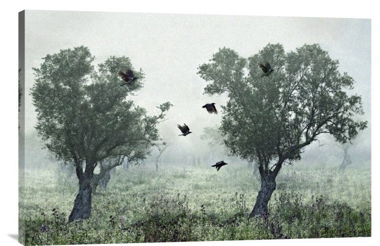 "Crows In The Mist" Stretched Canvas Giclee by S. Amer, 30"x20"