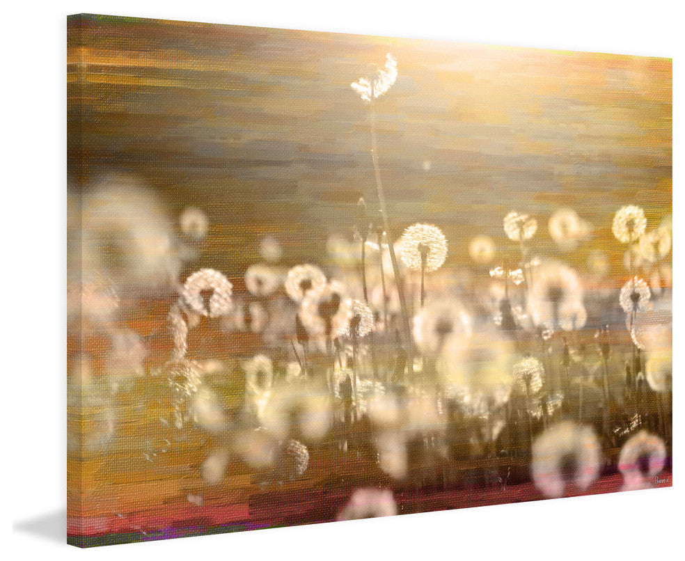 "Field" Fine Art Canvas Print, 36"x24"