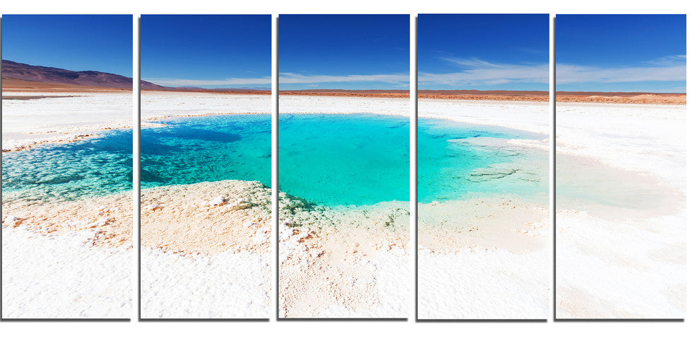 Beautiful Salinas Lake in Argentina, Landscape Canvas Art, 60"x28", 5 Panels