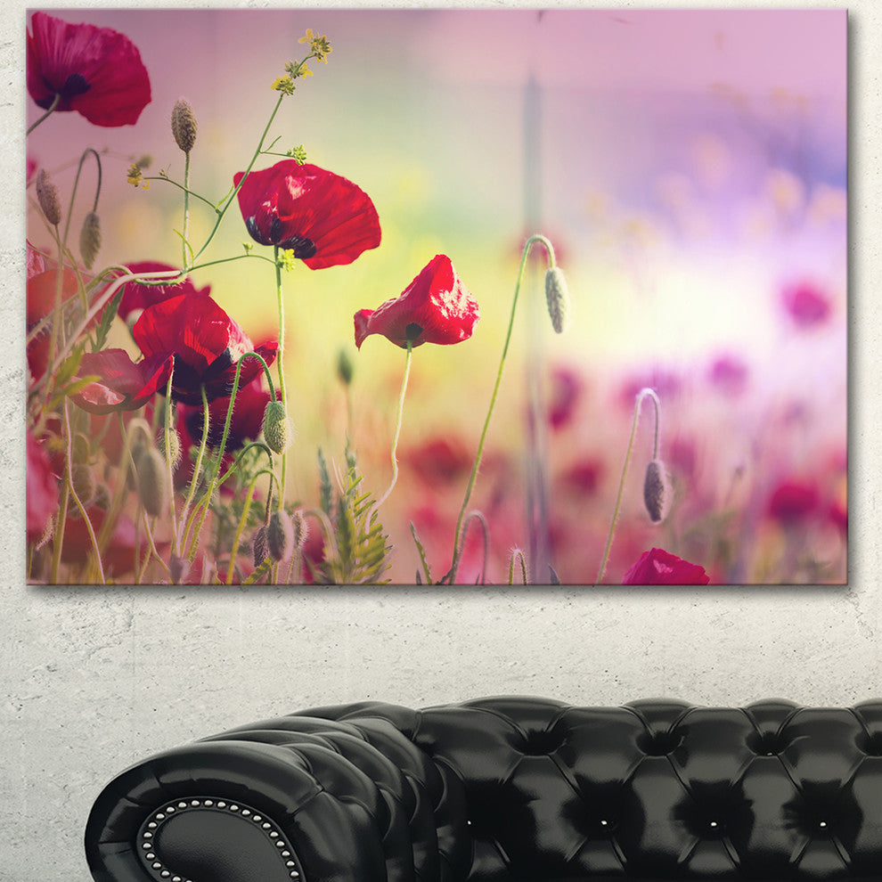 Beautiful Poppy Flower Garden, Floral Canvas Art Print, 40"x30"