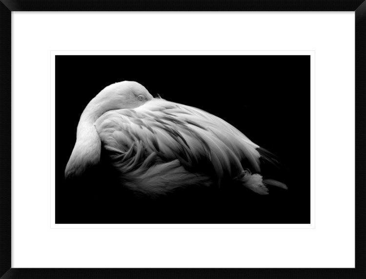 "Be Me" Framed Digital Print by Summer Ice, 26"x20"