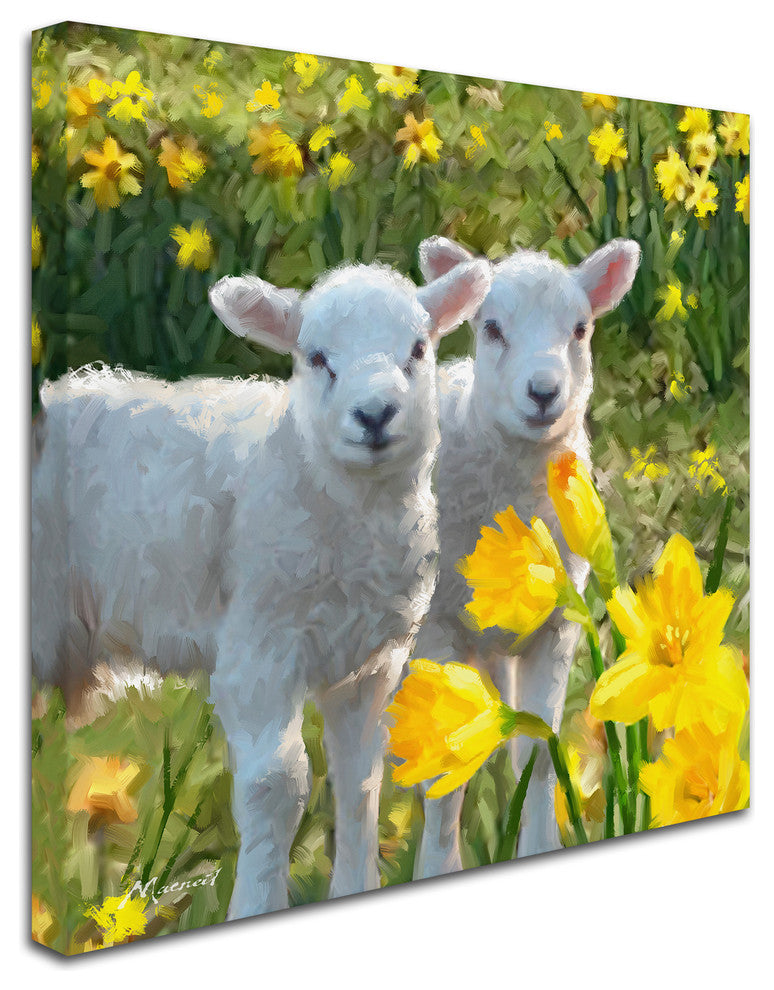 The Macneil Studio 'Lambs' Canvas Art, 24"x24"