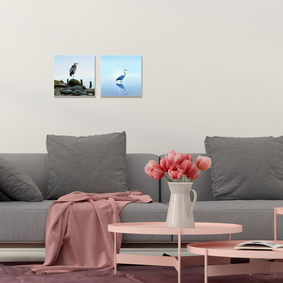 BHeron Ocean Animal Photograph 2-Piece Set, 17"x17"