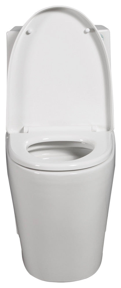 One-piece 1.1/1.6 GPF Dual Flush Elongated Toilet with Soft-Close Seat